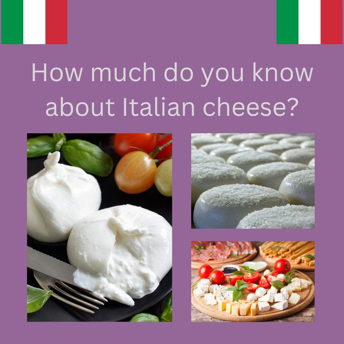 Want to know more about Italian cheese?